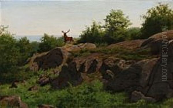 A Stag In A Rocky Landscape - view 1