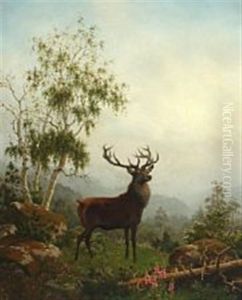 A Stag