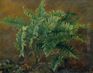 Studie Eines Farns by Carl Henrik Bogh