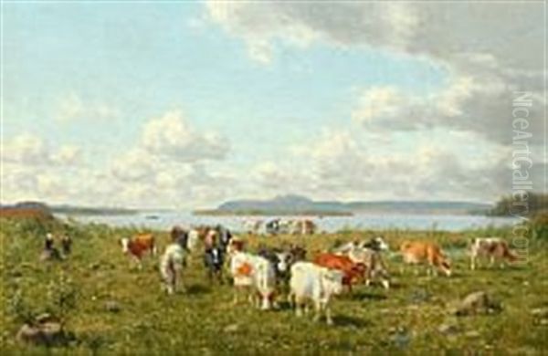 Koer Paa Marken Ved Einsidelsborg - view 1