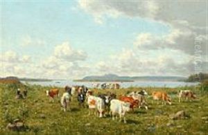 Koer Paa Marken Ved Einsidelsborg