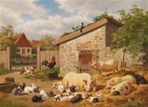 Summer Day In The Countryside With Pigs
