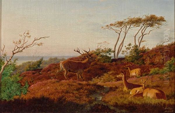 Rotwild In Herbstlicher Landschaft - view 1