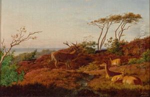 Rotwild In Herbstlicher Landschaft by Carl Henrik Bogh