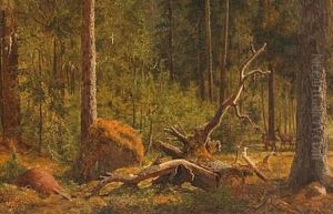Forest Scene From The Deer Park North Of Copenhagen by Carl Henrik Bogh