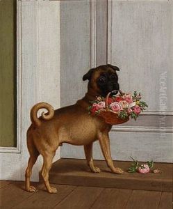 A Dog With A Flower Basket A Dog With A Flower Basket