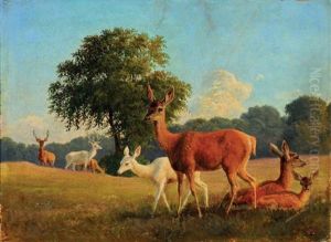 Paysage Anime D'une Harde De Cerfs Paysage Anime D'une Harde De Cerfs