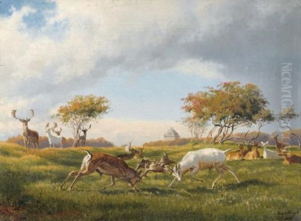 Hirschkampf In Danischer Landschaft - view 1