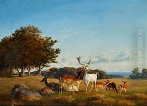 View Of Dyrehaven (the Deer Garden) With Fallow Deer by Carl Henrik Bogh