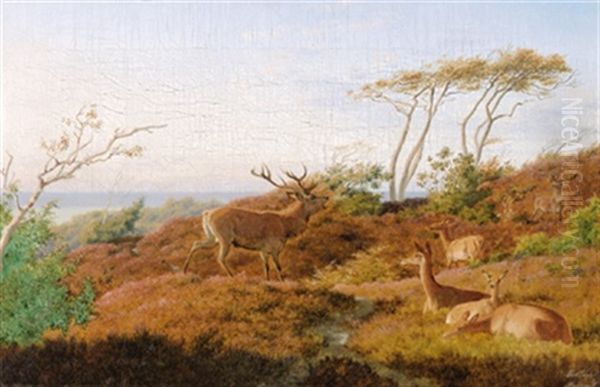 Landschaft Mit Rotwild - view 1