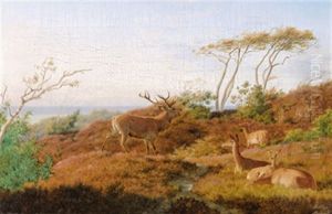 Landschaft Mit Rotwild Landschaft Mit Rotwild