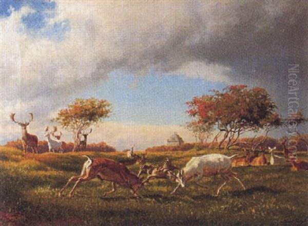 Damwild In Landschaft - view 1