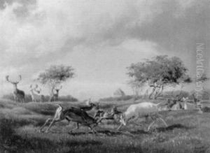 Kampfende Damhirsche Im Park Von Schloss Charlottenburg by Carl Henrik Bogh