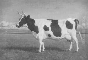Cow Cow