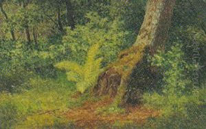 Skovparti