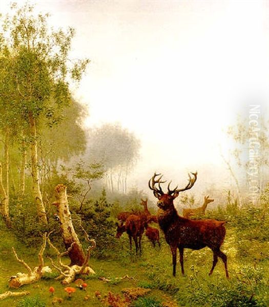 Deer In A Wood - view 1