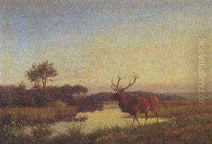 Kronhjort Ved Et Alob, I Baggrunden Fugle Pa Aftenhimlen Kronhjort Ved Et Alob, I Baggrunden Fugle Pa Aftenhimlen
