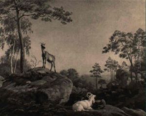 Gemsen In Felsiger Landschaft