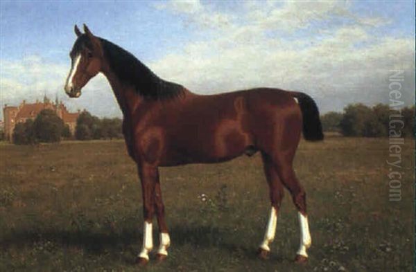 A Thoroughbred In Front Of Gammel Estrup - view 1