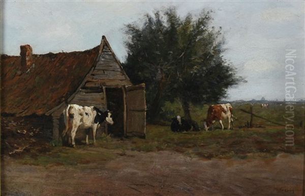 Koeien Bij De Schuur - view 1