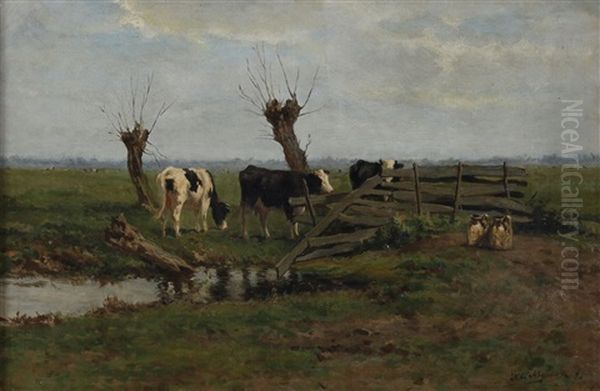 Weiland Met Koeien Achter Een Hek - view 1