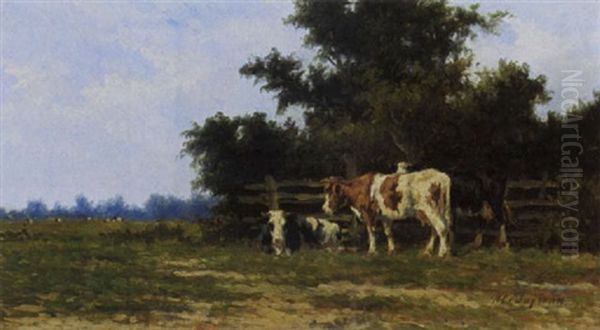 Cattle In A Sunny Meadow - view 1
