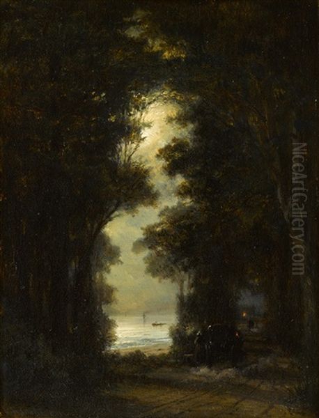Road Along The Bank Of Oresund. Night View - view 1