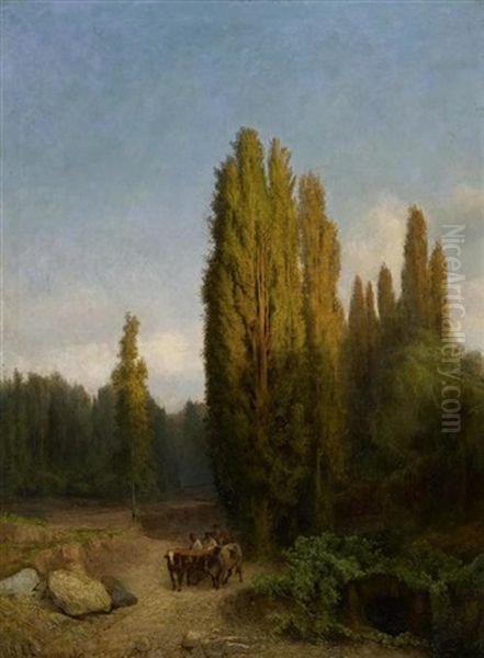 Waldlandschaft Auf Der Krim - view 1