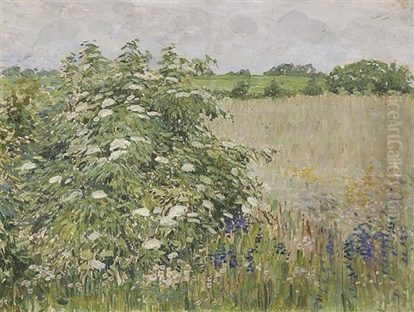 Ker - view 1