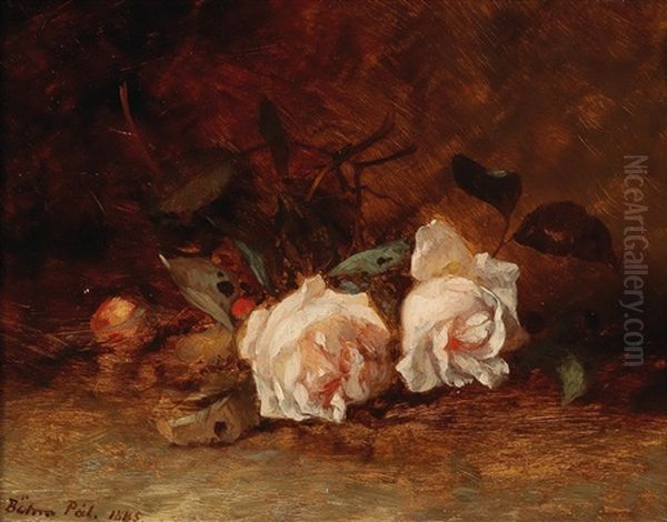 Roses - view 1