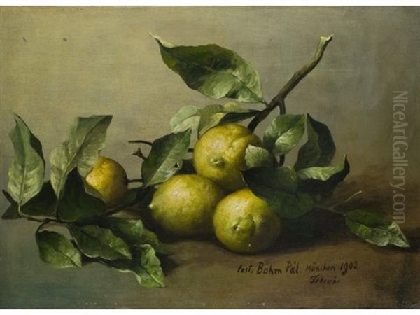 Stilleben Mit Zitrusfruchten - view 1