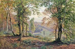 Sunny Bank by Heinrich Boehmer