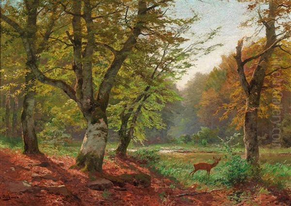 Roebuck In A Forest Clearing - view 1