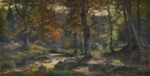 Sous-bois