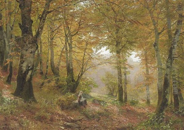 A Woodland Glade - view 1