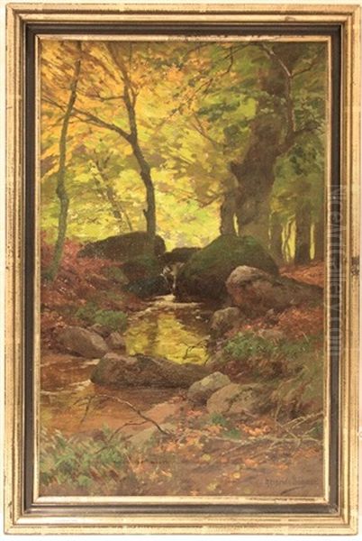 Bachlauf Im Tiefen Laubwald - view 1