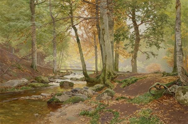 Sonnendurchflutete Waldlandschaft - view 1