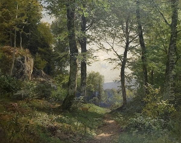 View On A Wood Glade - view 1