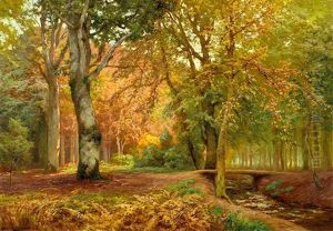 Bachlauf Im Tiefen Herbstwald