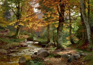 Sonniges Waldstuck Mit Bach by Heinrich Boehmer
