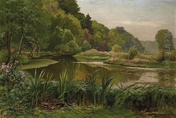 Cromforter Teich - view 1