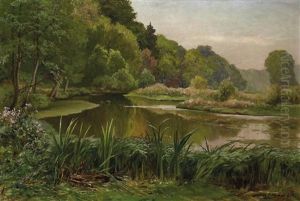 Cromforter Teich Cromforter Teich