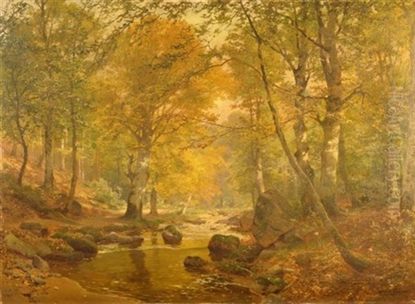 Im Fruhherbst, Blick In Lichten Laubwald Mit Ruhigem Bachlauf - view 1