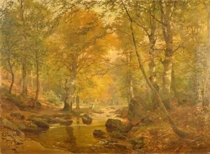 Im Fruhherbst, Blick In Lichten Laubwald Mit Ruhigem Bachlauf Im Fruhherbst, Blick In Lichten Laubwald Mit Ruhigem Bachlauf