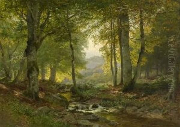 Waldbach - view 1