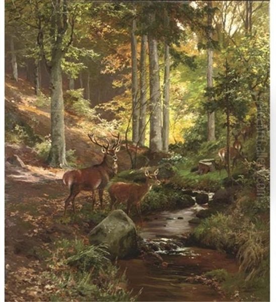 Stiller Wald: Wildlife In A Green Forest - view 1