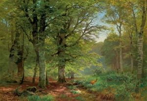 Im Buchenwald by Heinrich Boehmer