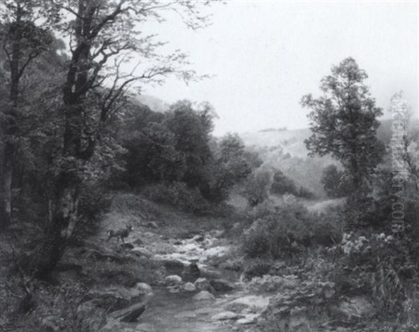 Waldlandschaft (eifel?) Mit Einem Hirsch - view 1
