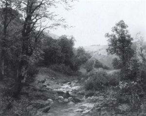 Waldlandschaft (eifel?) Mit Einem Hirsch
