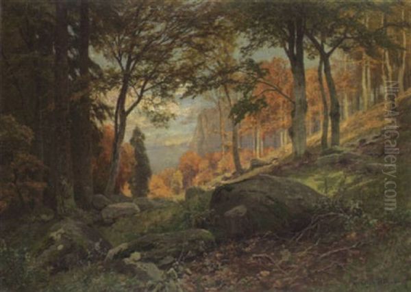 Der Ilsestein - view 1